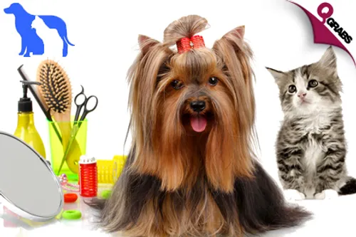 For QR149 Dogs or QR239 Cats, Treat your Four Legged Friends to a Grooming Session with The Veterinary Surgery, Doha! (QR350/QR490 Value)